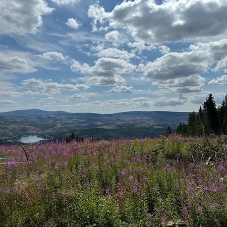 Bergmannsruh Clausthal-Zellerfeld