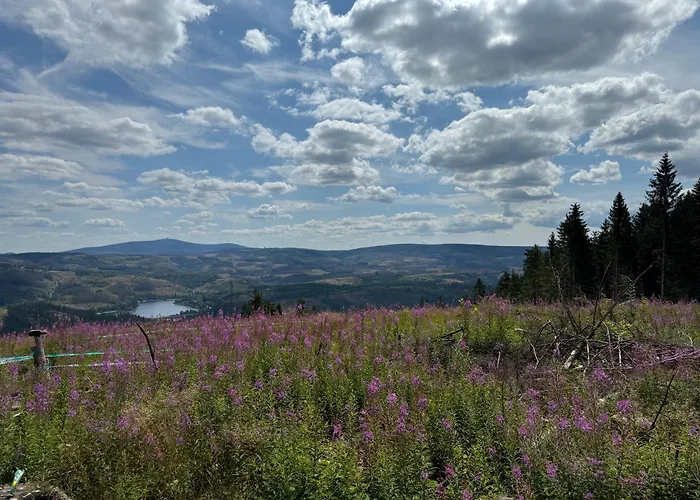 Bergmannsruh Clausthal-Zellerfeld