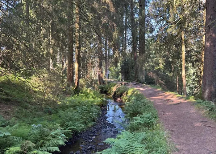 Bergmannsruh Διαμέρισμα